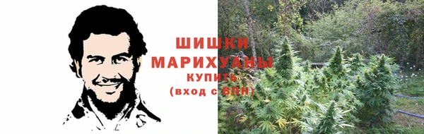 дурь Горно-Алтайск
