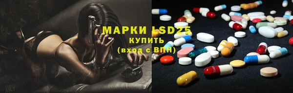 ГАЛЛЮЦИНОГЕННЫЕ ГРИБЫ Горняк