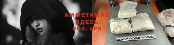 ГАЛЛЮЦИНОГЕННЫЕ ГРИБЫ Горняк