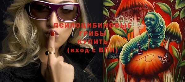 ГАЛЛЮЦИНОГЕННЫЕ ГРИБЫ Горняк