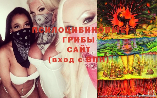 дурь Горно-Алтайск
