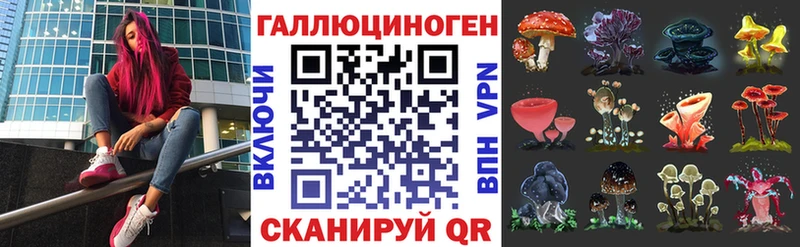 купить наркотики сайты  Сланцы  Галлюциногенные грибы Magic Shrooms 
