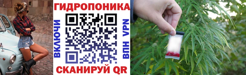МАРИХУАНА OG Kush  Сланцы 